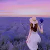 Lance Finn - @lance.finn - TikTok