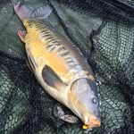 @lance_fish.ing - Instagram
