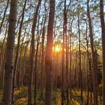Lance Fitzgerald - @coloradocamouflage - Instagram