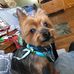 Lance Flaherty - Facebook
