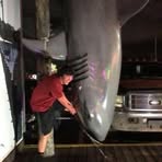 Lance Frantz - Facebook