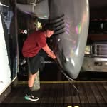 Lance Frantz - @lancefrantz88 - Instagram