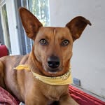 Your Friend, Lance - @yourfriendlance - Instagram