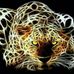 Germán Lince - Facebook