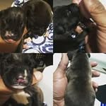 Lance Gorham - @gorhamlance - Instagram