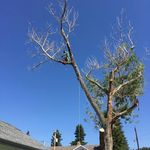 Lance Gould - @lancegould605 - Instagram