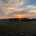 Lance granger - @granger_lance - Instagram