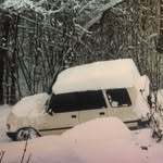 Lance Graves - @lance_graves - Instagram