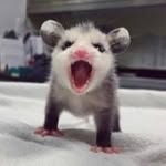 Lance Graves - @lancegraves79 - Instagram