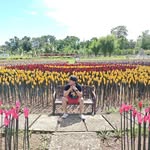 Lance Grey - @lancegrey6 - Instagram