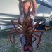 Lance Guy - Facebook