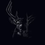 Lance Guy - Facebook
