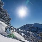Lance Hamblin - @tele.jake - Instagram