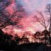 Lance Hamby - Facebook