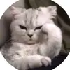 soy²>3 - @lancelumahang - TikTok