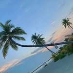 Lance Harper - @lanceharper5 - Instagram