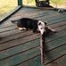 Lance Hasbrouck - Facebook