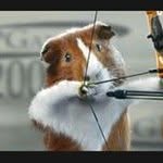 Lance Hawker - @hawkerlance - Instagram
