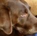 Lance Holcomb - Facebook