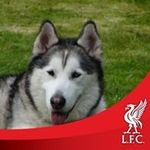 Lance Holt - @lance.holt.911 - Instagram