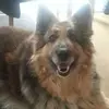 lancehoughton - @lancehoughton - TikTok