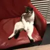 LanceHoward - @w7d7agefl52 - TikTok