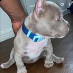 Lance Hubert (FFK) - @lance111_ - Instagram