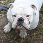 Lance Singleton - @lance.singleton.5 - Instagram