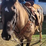 Lance Kelly - @lance.kelly.505 - Instagram
