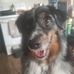 Lance Kellogg - Facebook
