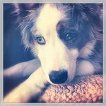 Lance Kitchens - @lance_kitchens - Instagram