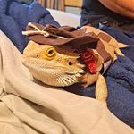 Lance Knapp - @tyne470 - Instagram
