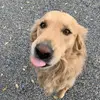 lance.knutson - @lannncek - TikTok