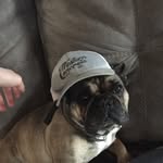 Lance Kolba - @lancekolba - Instagram