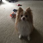 lancealot Langford - @lancealotlangford - Instagram
