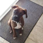Lance Larkin - @motowinkle - Instagram