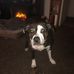 Lance Lawrence - Facebook