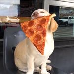 Lance Leblanc - @leblanc.lance - Instagram