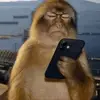 Lance Lee - @lance.lee0 - TikTok