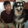 Lance Lim - @iamlancee - TikTok