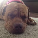 Lance_Lindley - @lance_lindley - Instagram