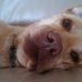 Lance Lorenzo - Facebook