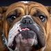 Lance Luke - Facebook