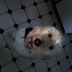 Lance T. Manyon - @manny_twitsrheer - Instagram