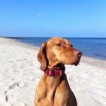 @lancemanyon321 - Instagram