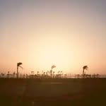 Lance Marks - @lancemarksmarks - Instagram