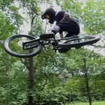 Lance Marshall - @lance_marshall05 - Instagram