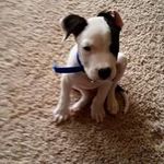 Lance Marshall - @ambulance09 - Instagram