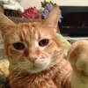 Lance May - @lance.may2 - TikTok