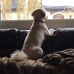 Lance McWilliams - Facebook